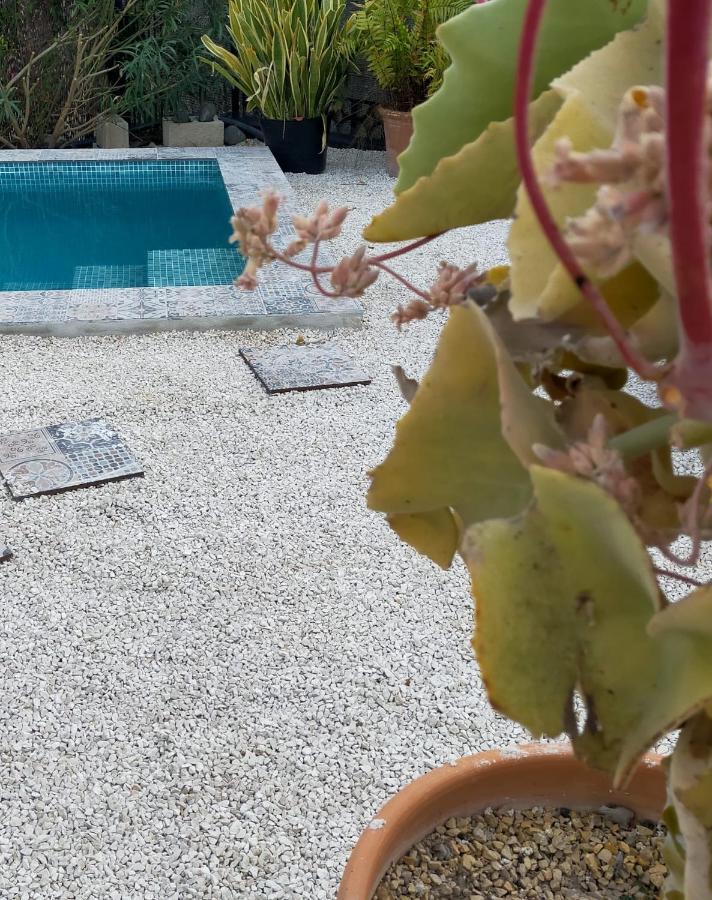 Casa Eline De Lujo Casco Antiguo Altea Piscina Privada Y Jardin Vila Exterior foto